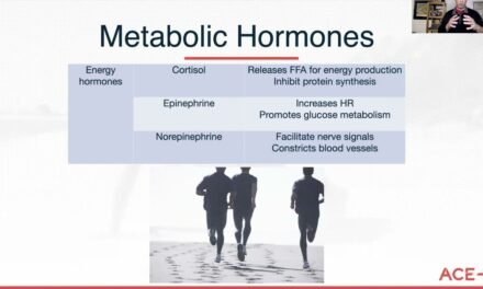 CERTIFIED | Understanding the Link Between Hormones and Metabolism