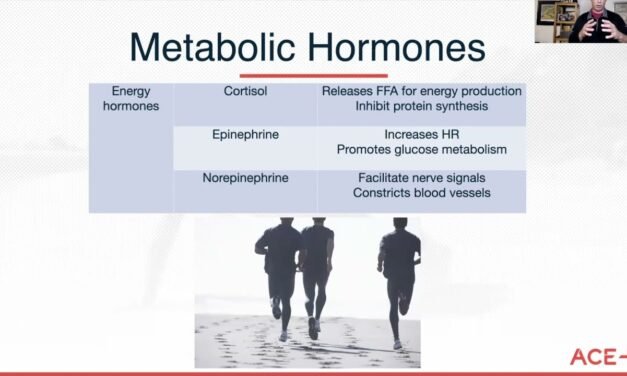 CERTIFIED | Understanding the Link Between Hormones and Metabolism