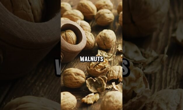 Discover Pt 4's Power Foods for Vitality