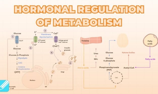 Hormonal Regulation of Fuel Metabolism (Insulin, Glucagon & Epinephrine)