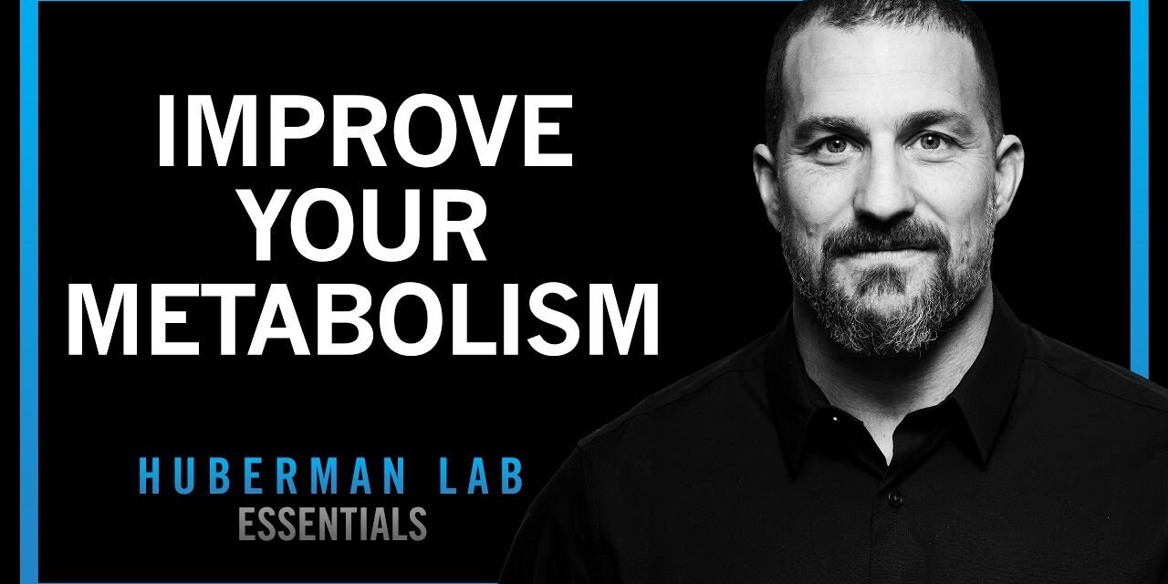 How to Control Your Metabolism by Thyroid & Growth Hormone | Huberman Lab Essentials