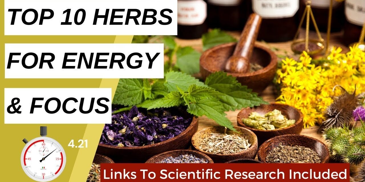Natural Energy Boosters: 10 Herbs to Increase Alertness and Concentration