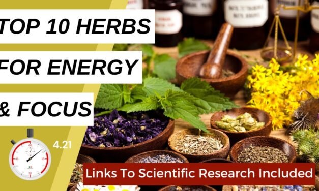 Natural Energy Boosters: 10 Herbs to Increase Alertness and Concentration