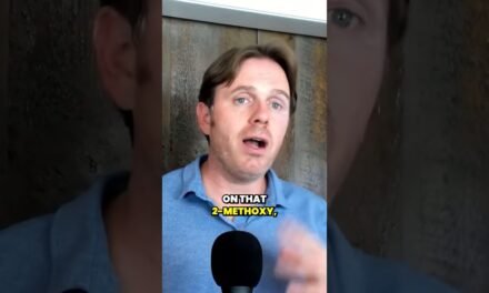 The Role of Gut Health in Hormone Metabolism