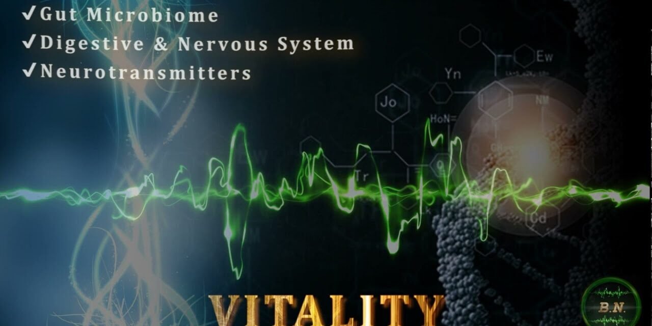VITALITY – shatterproof health | gut-brain axis resonance