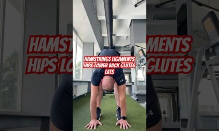 #amazing #mobility #sports #tutorial #fitness #movement #beginners #fun #mood #hips #thighs