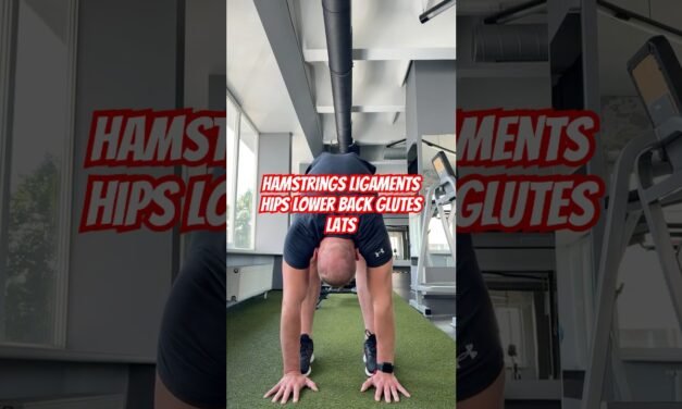 #amazing #mobility #sports #tutorial #fitness #movement #beginners #fun #mood #hips #thighs