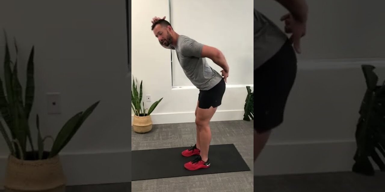 Best Move For A Stronger Lower Back #shorts