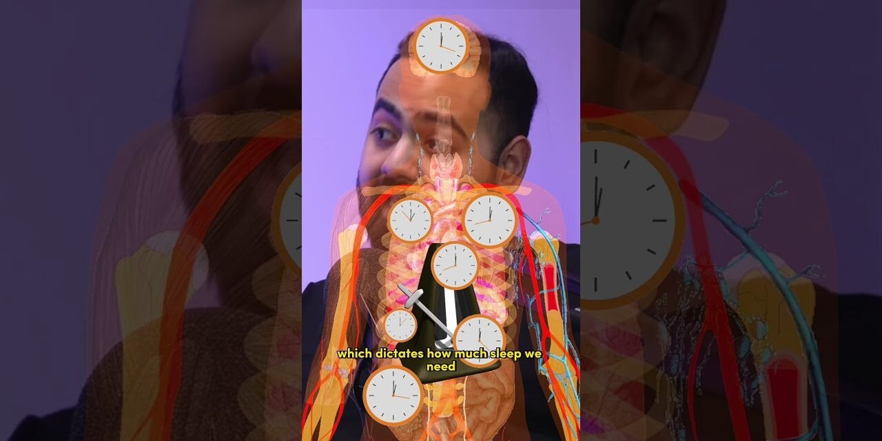 Doctor Explains Why You DON’T Need 8 Hours Sleep!