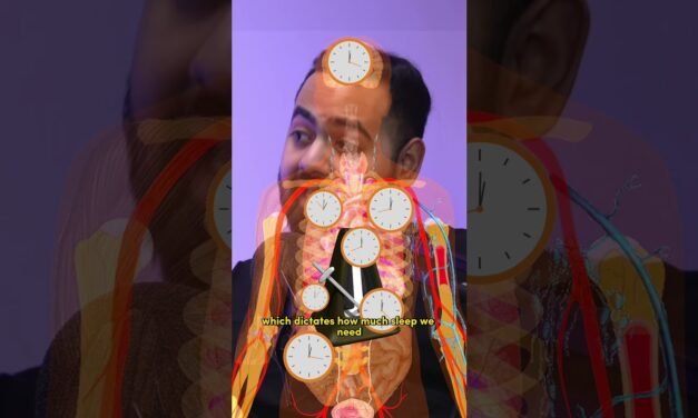 Doctor Explains Why You DON’T Need 8 Hours Sleep!