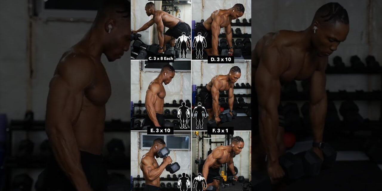 Dumbbell PULL Workout (No Bench) #1