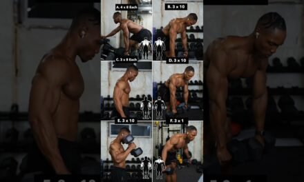 Dumbbell PULL Workout (No Bench) #1