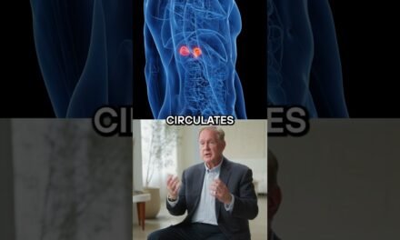 How Cortisol, the Stress Hormone, Impacts Blood Sugar and Health | Dr. Robert Lustig