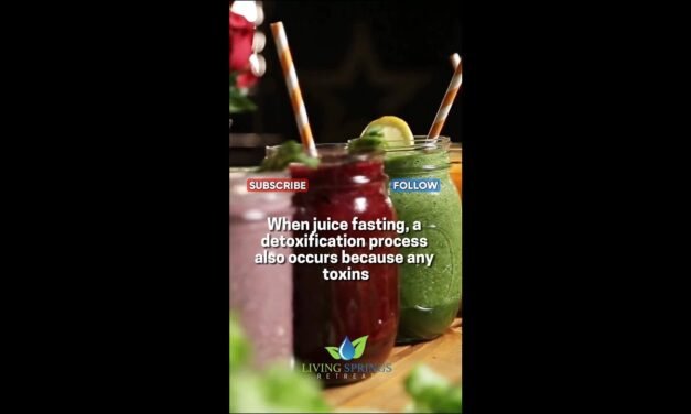 Juicing for Optimal Health, Nutritional Support, and Vitality.