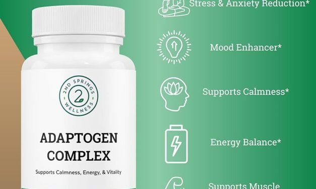 The Power of Adaptogens: Nature’s Energy Enhancers