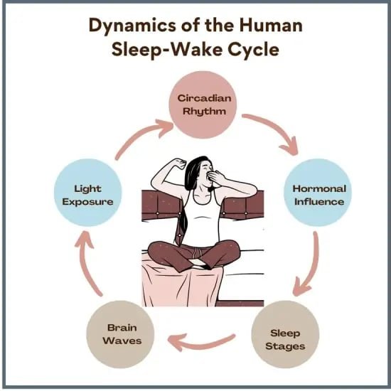 The Role of Sleep in Maintaining Peak Mind & Body Energy