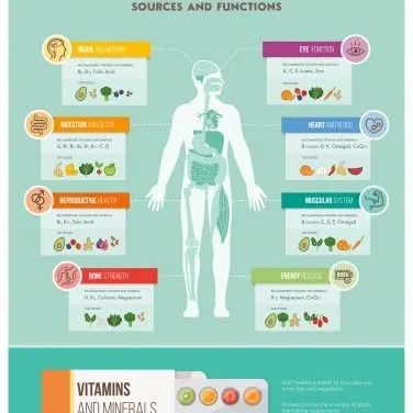 The Role of Vitamins and Minerals in Sustaining Energy