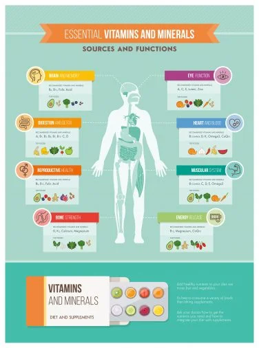 The Role of Vitamins and Minerals in Sustaining Energy
