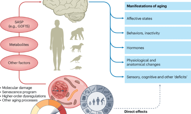 The Science of Energy: How Your Brain and Body Work Together