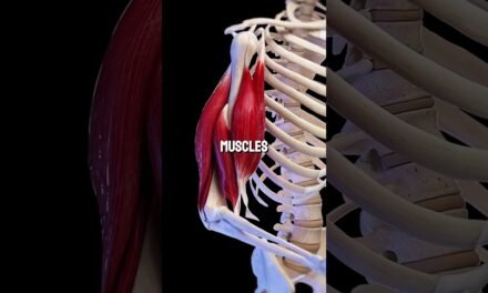 7 Natural Foods That Boost Energy Better Than Coffee #health #shorts