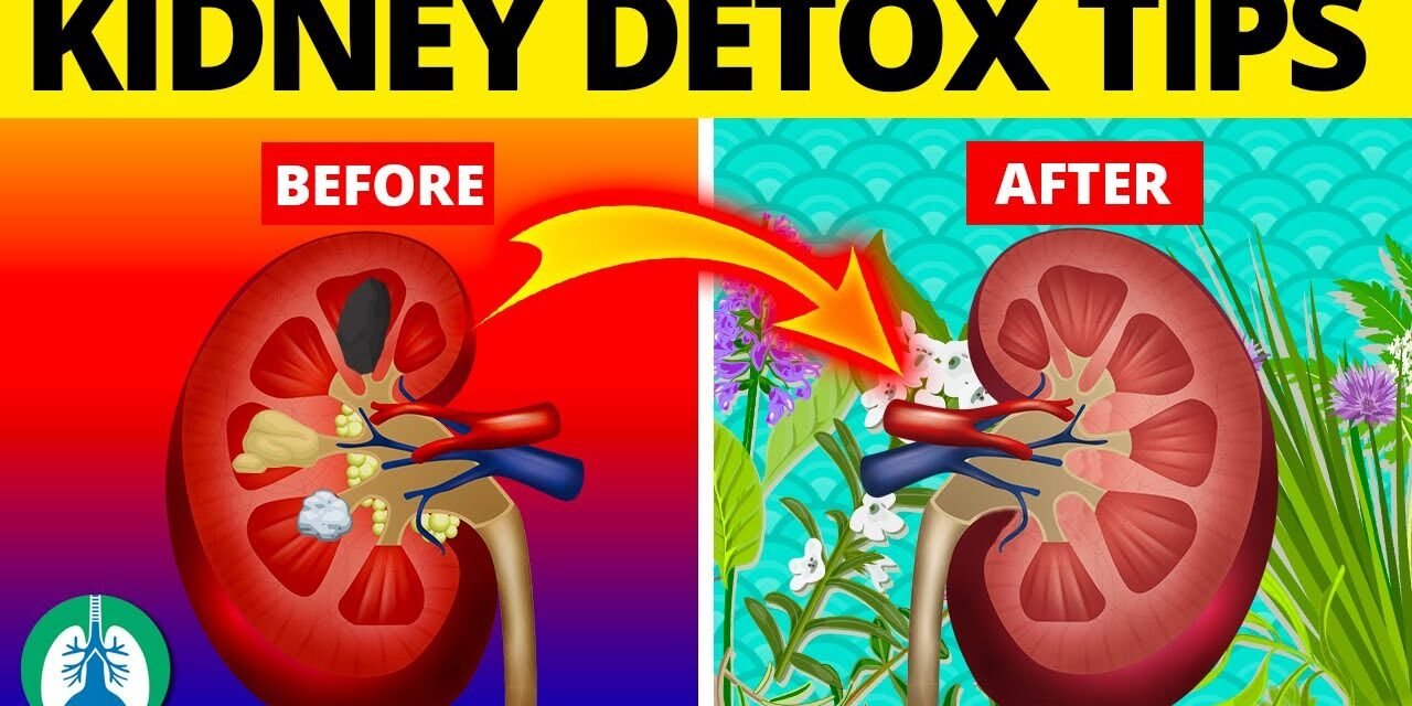 7 Ways to Detox and Cleanse Your Kidneys Naturally