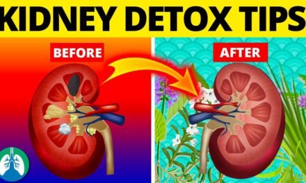 7 Ways to Detox and Cleanse Your Kidneys Naturally