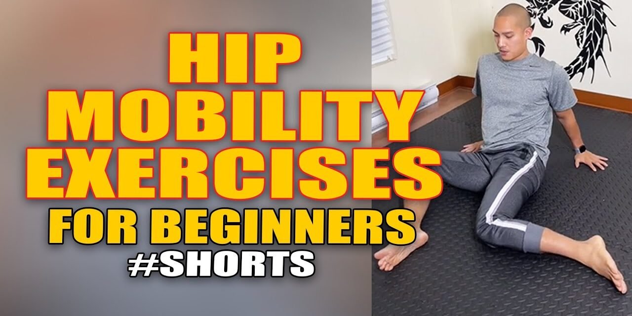 Beginner Hip Mobility Exercises
