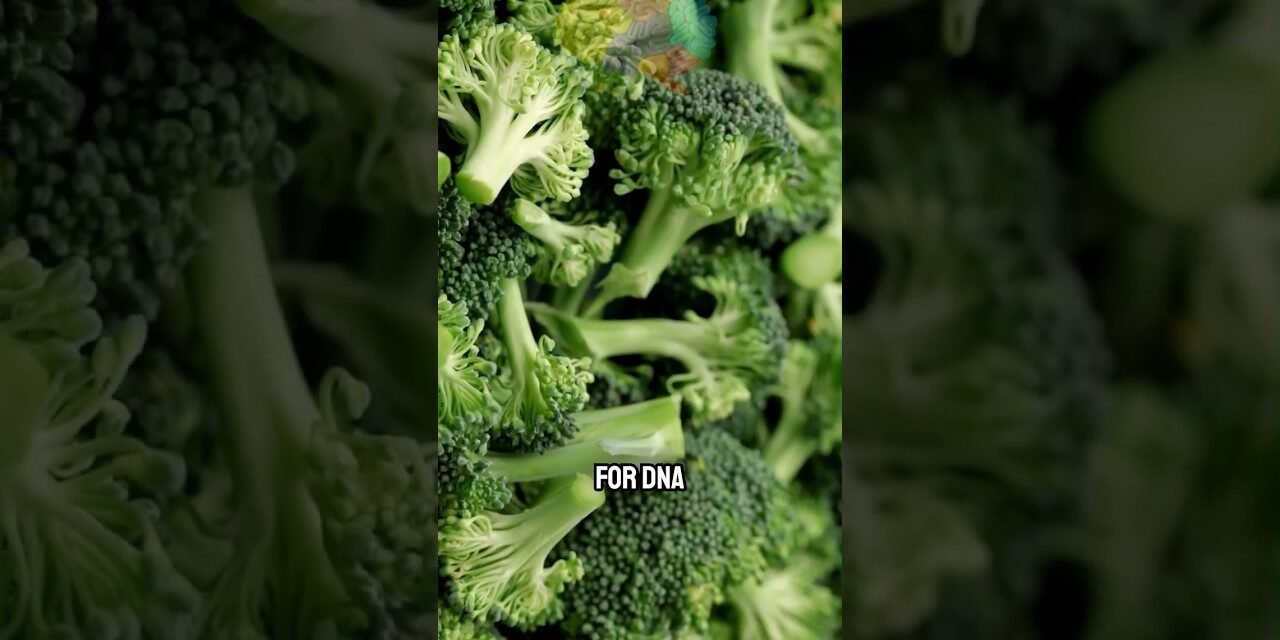 Best Anti-Aging Foods To Eat For Longevity & Vitality  #health #nutrition #food