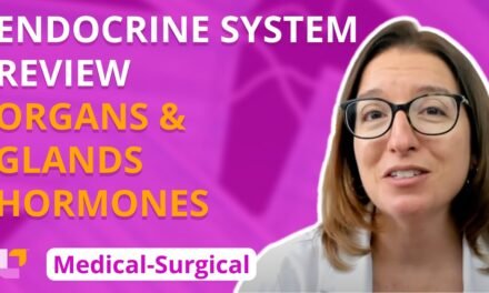 Endocrine organs/glands & hormone overview – Med-Surg (2020 Edition) – Endocrine | @LevelUpRN