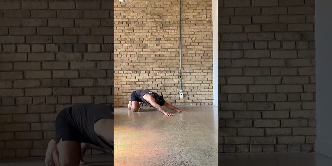 Looking for a quick beginner Flow to practice? Follow along with #AnimalFlow Master Instructor Rosh!