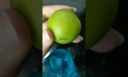 Natural Energy Drink #shorts #short #drink #lemon