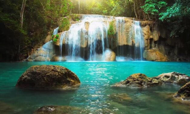 Relaxing Music for Stress Relief and Healing – Heal Your Nervous System and Your Soul, Calming Music