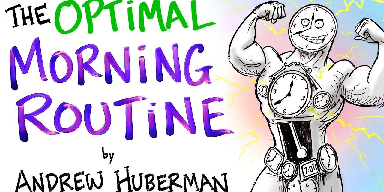 The Optimal Morning Routine – Andrew Huberman