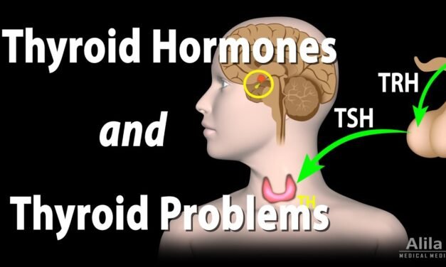 Thyroid Gland, Hormones and Thyroid Problems, Animation