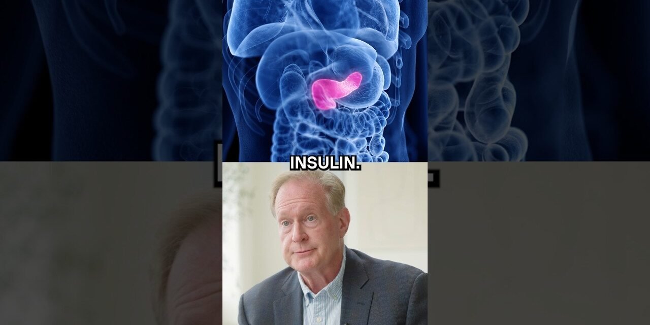 Understanding What Happens with Insulin and Glucose When You Eat a Meal | Dr. Robert Lustig