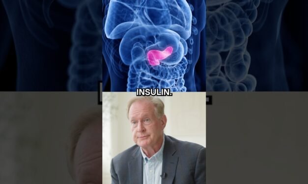 Understanding What Happens with Insulin and Glucose When You Eat a Meal | Dr. Robert Lustig