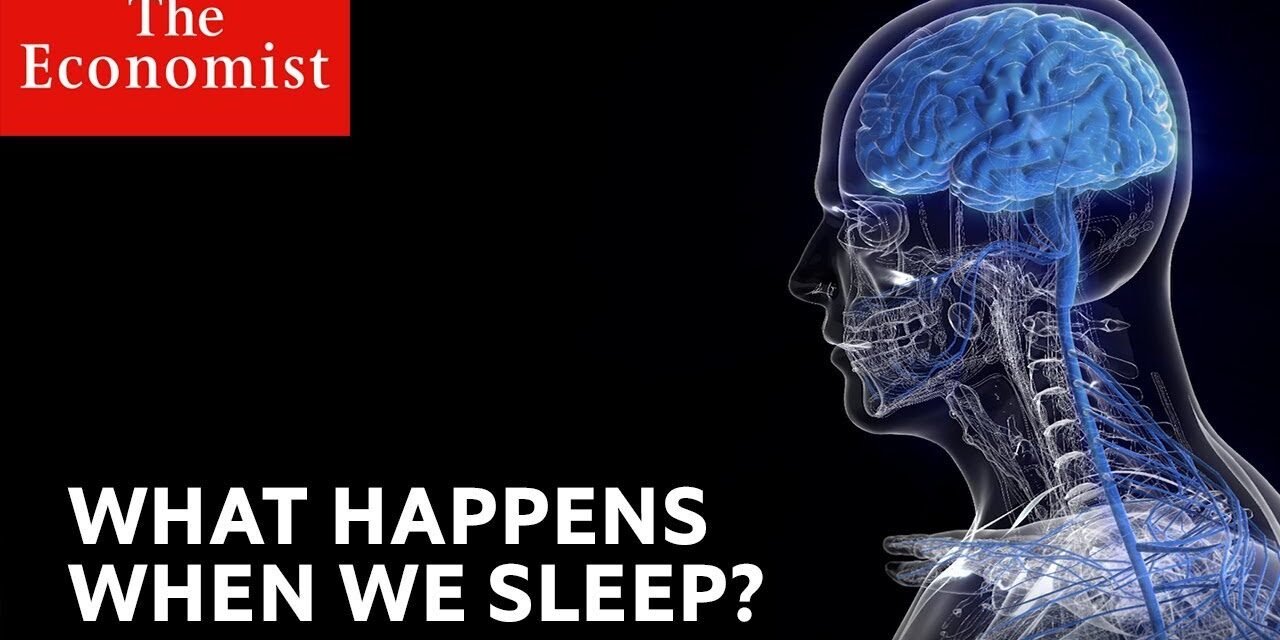 What happens when we sleep?
