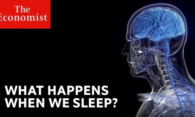 What happens when we sleep?