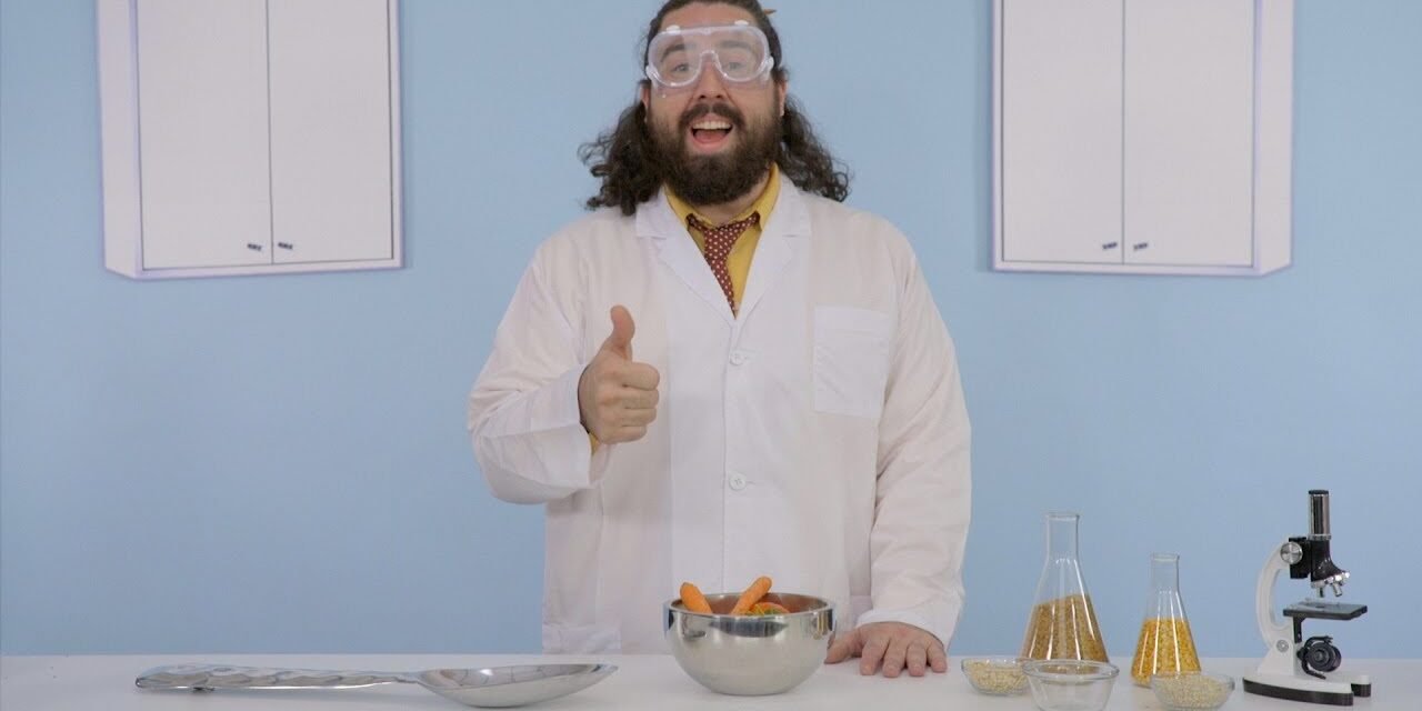 Hill's Science Diet Youthful Vitality Cat Food | Chewy