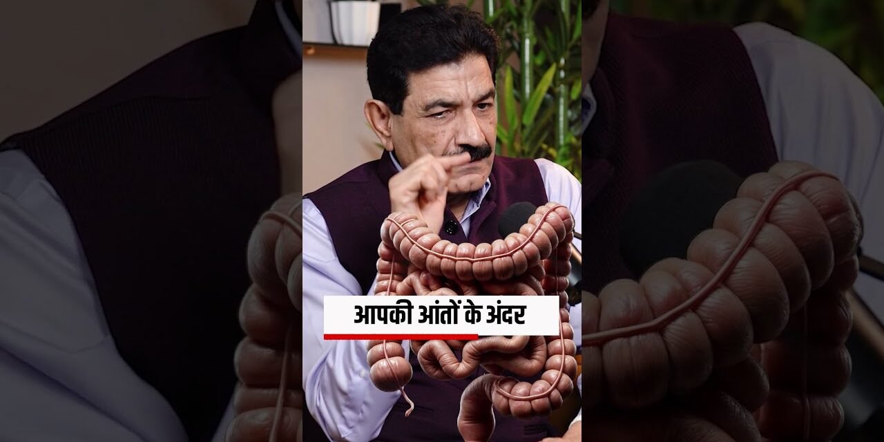 How STRESS Impacts Your Mind Gut Connection #shorts