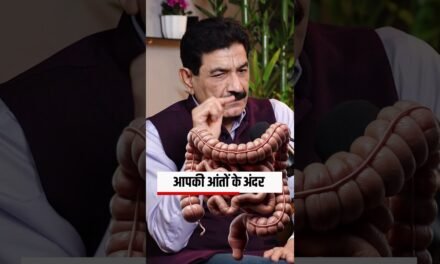 How STRESS Impacts Your Mind Gut Connection #shorts