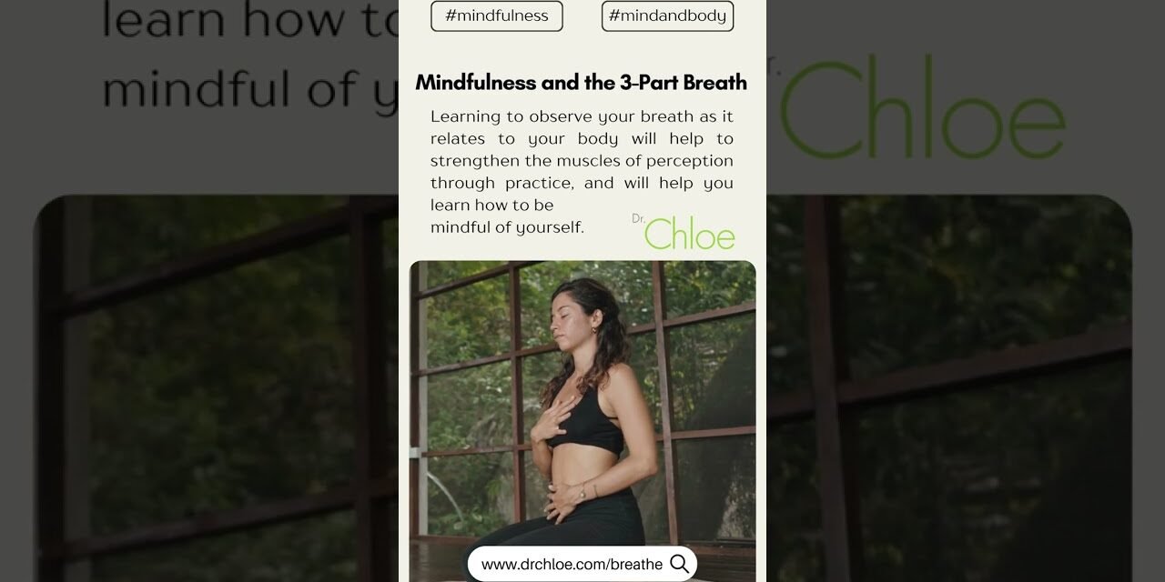 International Mind-Body Wellness Day #shorts