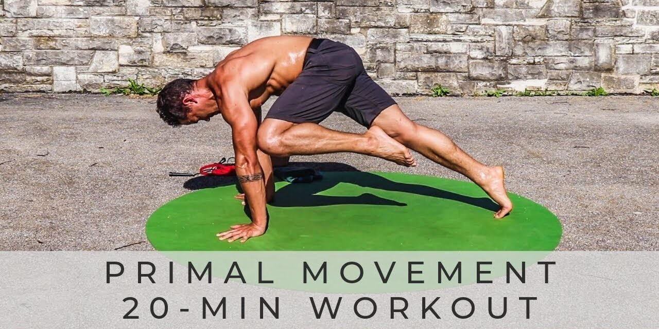 PRIMAL MOVEMENT FITNESS: Bodyweight & Core Workout (Follow Along)