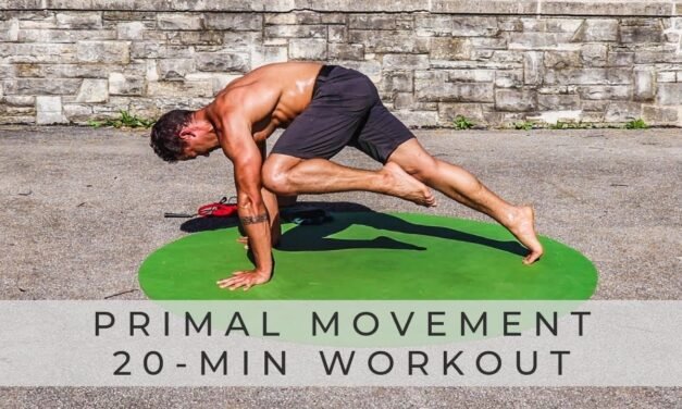 PRIMAL MOVEMENT FITNESS: Bodyweight & Core Workout (Follow Along)