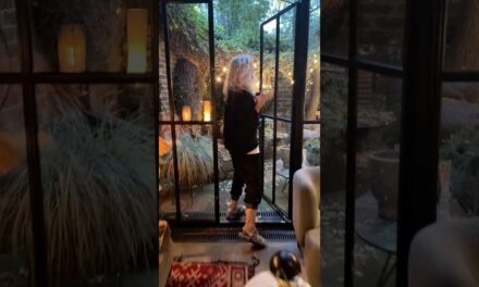 Revitalise Your Mind, Body and Home | Wellness Tips | Healthy Living | Wellbeing | Abigail Ahern