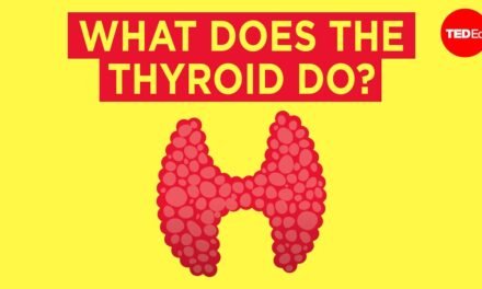 How does the thyroid manage your metabolism? – Emma Bryce