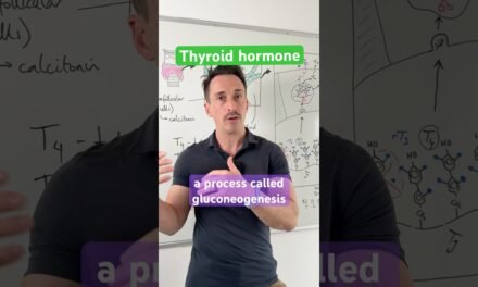 The Role of #Thyroid Hormone