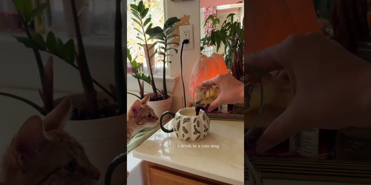 natural light hitting your face = instant energy boost #ad @SwitchBotOfficial  #morningroutine