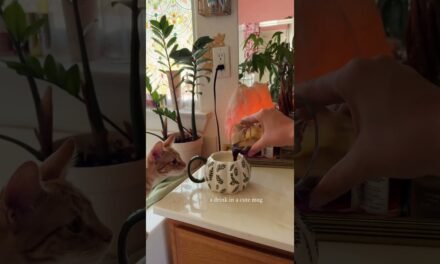 natural light hitting your face = instant energy boost #ad @SwitchBotOfficial  #morningroutine