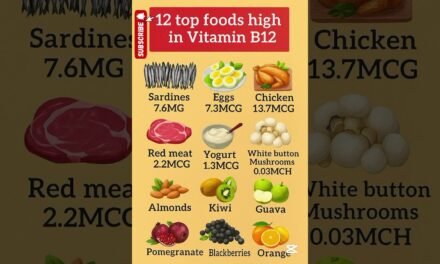 12 Top Foods High in Vitamin B12 | Boost Energy, Brain & Immunity Naturally